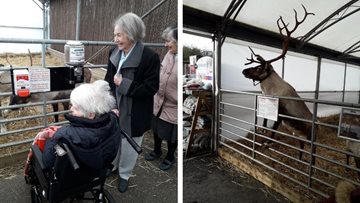 Hartlepool care home visits local garden centre